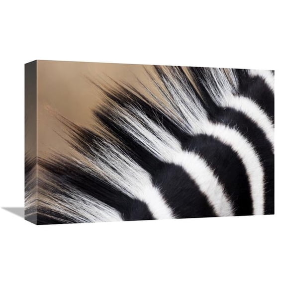Global Gallery 12 x 18 in. Zebra Mane - Khama Rhino Sanctuary - Serowe - Botswana Art Print - Vincent Grafhorst