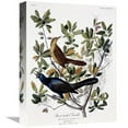 thumbnail image 1 of Global Gallery  16 in. Boat Tailed Grackle - Male & Female Art Print - John James Audubon, 1 of 1