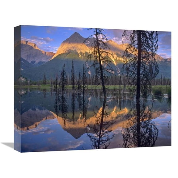 Global Gallery 16 x 20 in. Chancellor Peak Reflected in Lake - Yoho National Park - BC - Canada Art Print - Tim Fitzharris