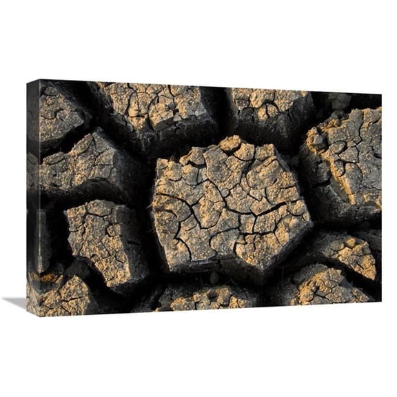 Global Gallery 16 x 24 in. Cracked - Dried Out Mud - Mokolodi Nature Reserve - Botswana Art Print - Vincent Grafhorst