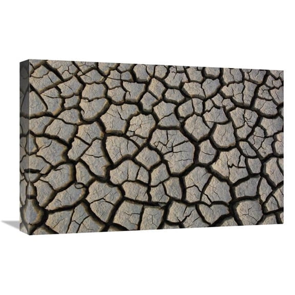 Global Gallery  16 x 24 in. Cracked Mud on the Salt Flats of the Little Rann of Kutch - Gujarat - India Art Print - Pete Oxford
