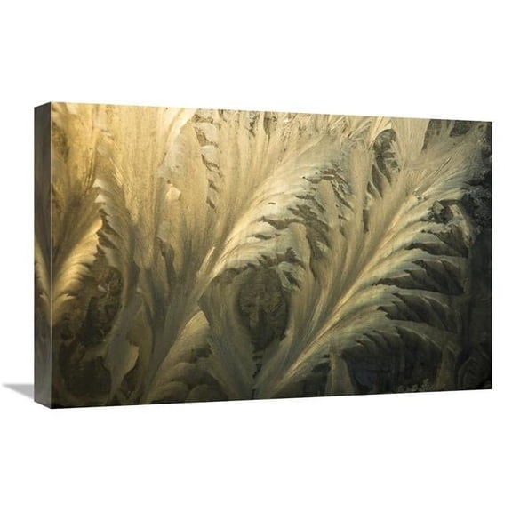 Global Gallery 16 x 24 in. Frost Crystal Patterns on Glass - Ross Sea - Antarctica Art Print - Colin Monteath