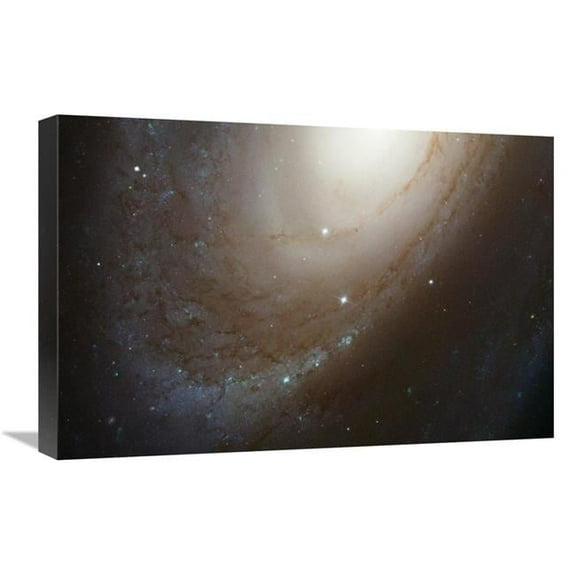 Global Gallery 16 x 24 in. HST ACS Image of M81 Art Print - NASA