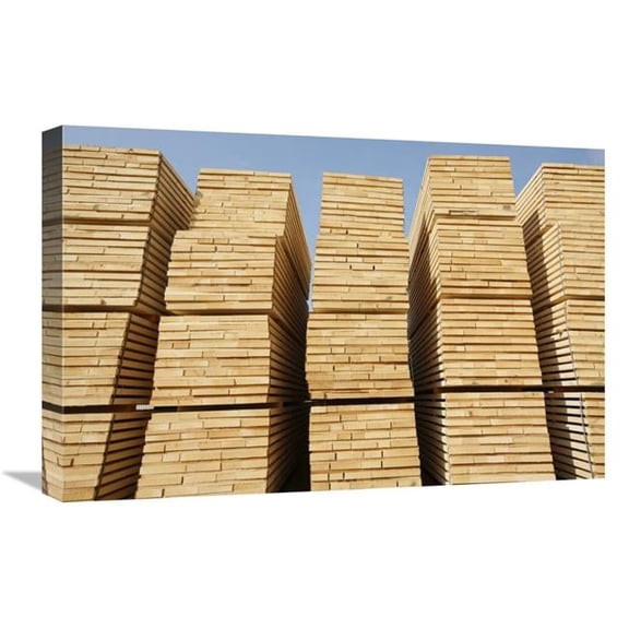 Global Gallery 16 x 24 in. Logged Timber From the Tropical Rainforest - Now Cut Into Boards - Cameroon Art Print - Cyril Ruoso