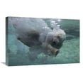 thumbnail image 1 of Global Gallery  16 x 24 in. Polar Bear Swimming Underwater Art Print - San Diego Zoo, 1 of 1