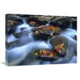 thumbnail image 1 of Global Gallery  18 x 24 in. Autumn Leaves on Wet Boulders in Stream - Great Smoky Mountains National Park - North Carolina Art Print - Tim Fitzharris, 1 of 1
