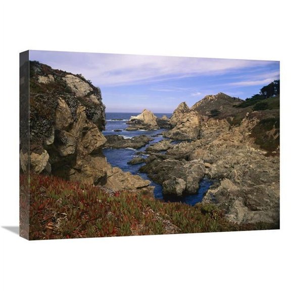 Global Gallery 18 x 24 in. Iceplant Growing on Cliffs at Rocky Point - Big Sur - California Art Print - Tim Fitzharris