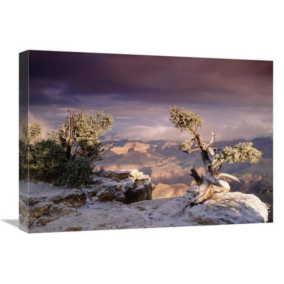 Global Gallery 18 x 24 in. South Rim of Grand Canyon with A Dusting of Snow - Grand Canyon National Park - Arizona Art Print - Tim Fitzharris