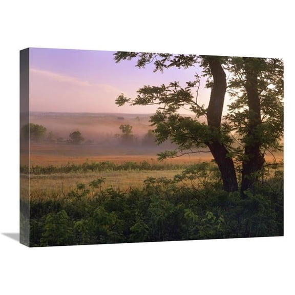 Global Gallery 18 x 24 in. Tallgrass Prairie National Preserve - Kansas Art Print - Tim Fitzharris