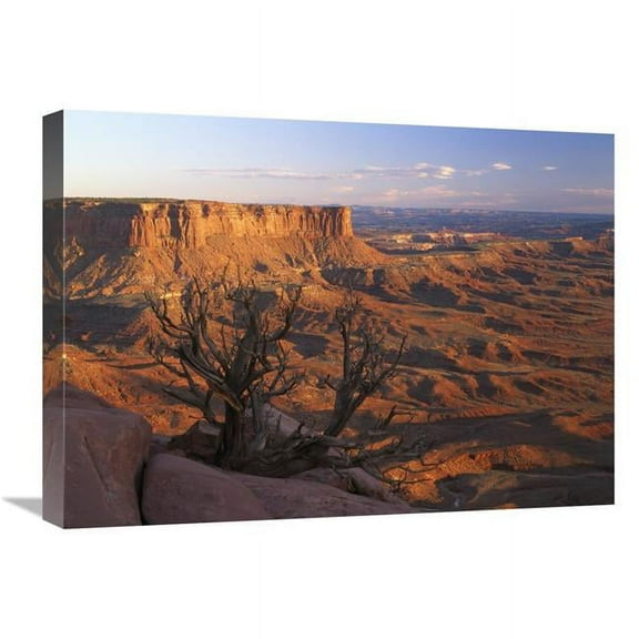 Global Gallery  18 x 24 in. View From Green River Overlook - Canyonlands National Park - Utah Art Print - Tim Fitzharris