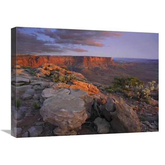 Global Gallery  18 x 24 in. View From the Green River Overlook - Canyonlands National Park - Utah Art Print - Tim Fitzharris
