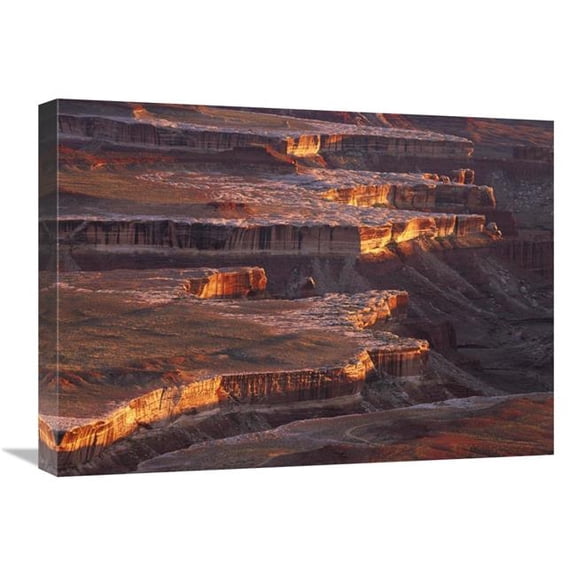 Global Gallery  18 x 24 in. View From Grandview Point Over Monument Basin - Island in the Sky - Canyonlands National Park - Utah Art Print - Tim Fitzharris