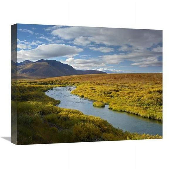 Global Gallery 20 x 24 in. North Klondike River Flowing Through Tundra Beneath the Ogilvie Mountains - Yukon Territory - Canada Art Print - Tim Fitzharris
