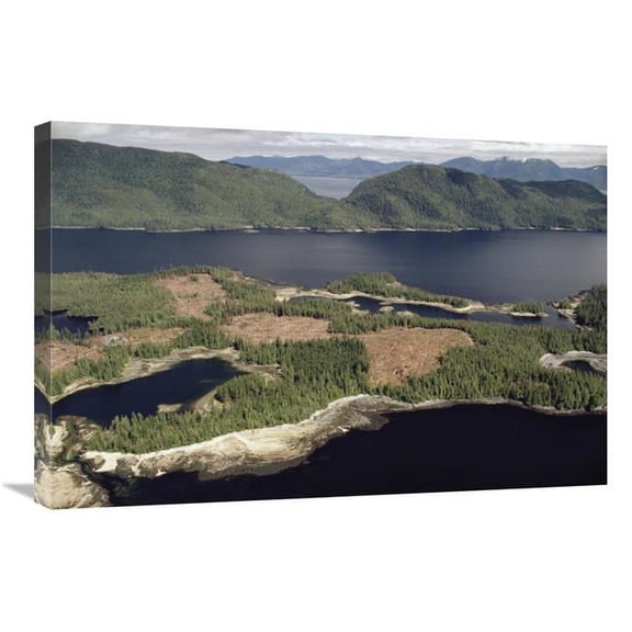 Global Gallery  20 x 30 in. Aerial View of Clearcut Temperate Rainforest on Prince of Wales Island - Tongass National Forest - Alaska Art Print - Gerry Ellis