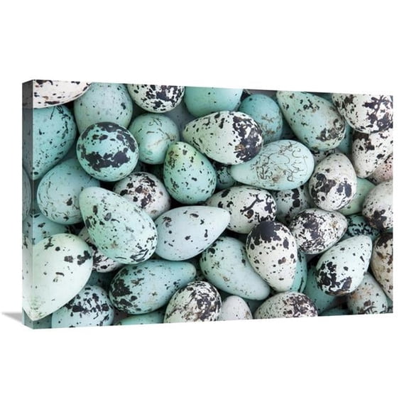 Global Gallery 20 x 30 in. Bird Egg Tableau Art Print