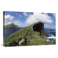 thumbnail image 1 of Global Gallery  20 x 30 in. Hookers Sea Lion on Cliffs Edge - Campbell Island - New Zealand Art Print - Tui De Roy, 1 of 1