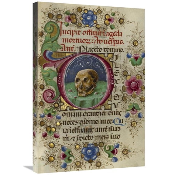 Global Gallery  20 x 30 in. Initial D - A Skull in a Rocky Field Art Print - Taddeo Crivetti