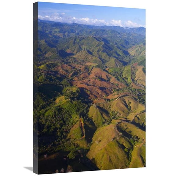 Global Gallery 20 x 30 in. Lowland Tropical Rainforest Cleared for Cattle Farming - Soberania National Park - Panama Art Print - Christian Ziegler