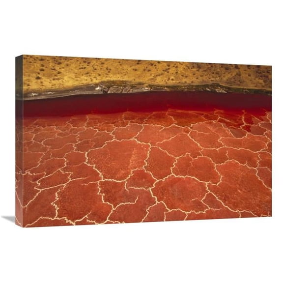 Global Gallery 20 x 30 in. Soda Formations on the Surface of Lake Natron - Tanzania - East Africa Art Print - Gerry Ellis
