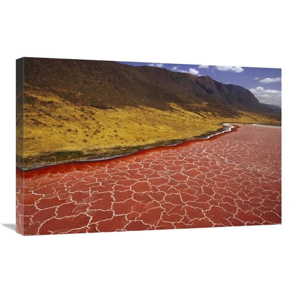 Global Gallery 20 x 30 in. Soda Formations on the Surface of Lake Natron - Tanzania - East Africa Art Print - Gerry Ellis