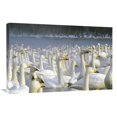 thumbnail image 1 of Global Gallery  20 x 30 in. Whooper Swan Wintering Flock - Lake Kussharo-Ko - Hokkaido - Japan Art Print - Konrad Wothe, 1 of 1