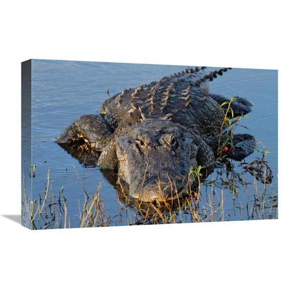 Global Gallery  22 in. Ready for Action Art Print - Vic Schendel