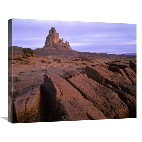 Global Gallery 22 x 28 in. Agathla Peak - the Basalt Core of An Extinct Volcano - Monument Valley - Arizona Art Print - Tim Fitzharris