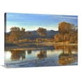 thumbnail image 1 of Global Gallery  24 x 32 in. Cottonwood Trees & Willows - Fall Foliage - Bosque Del Apache National Wildlife Refuge - New Mexico Art Print - Tim Fitzharris, 1 of 1