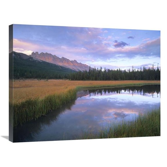 Global Gallery  24 x 32 in. Dolomite Peak & Bow River Backwaters - Banff National Park - Alberta Art Print - Tim Fitzharris