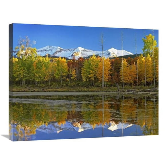 Global Gallery 24 x 32 in. Full Moon Over East Beckwith Mountain Rising Above Fall Colored Aspen Forests - Colorado Art Print - Tim Fitzharris