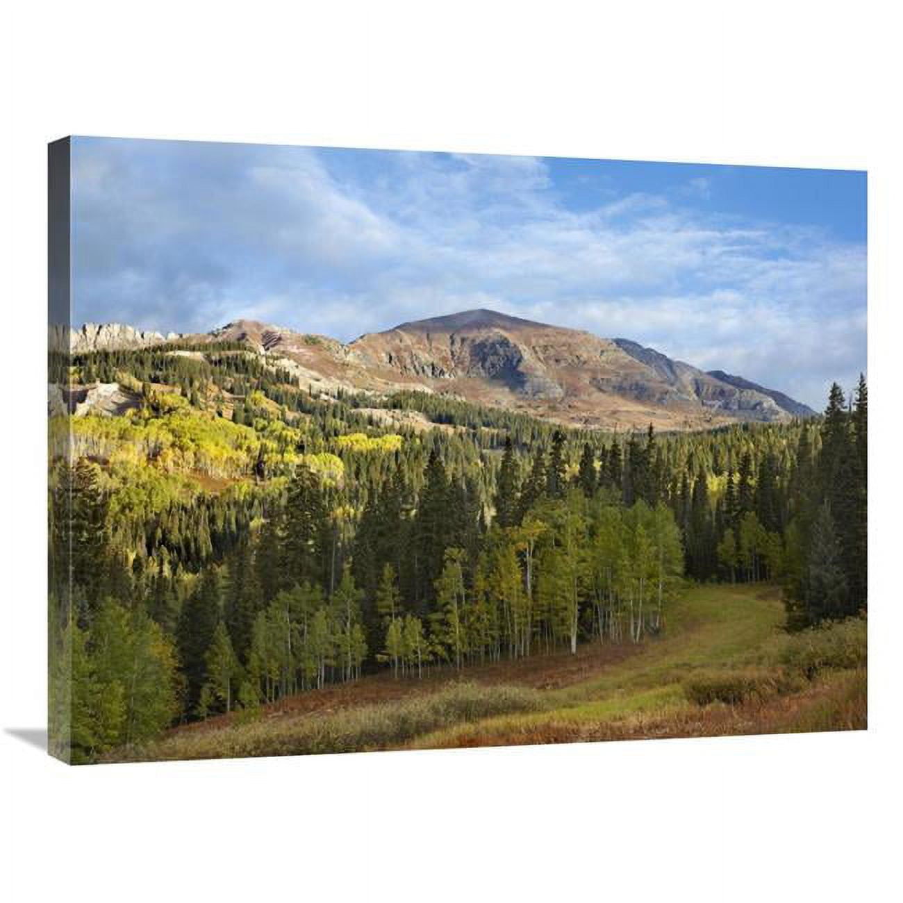Global Gallery 24 x 32 in. Ruby Peak Near Crested Butte - Colorado Art ...