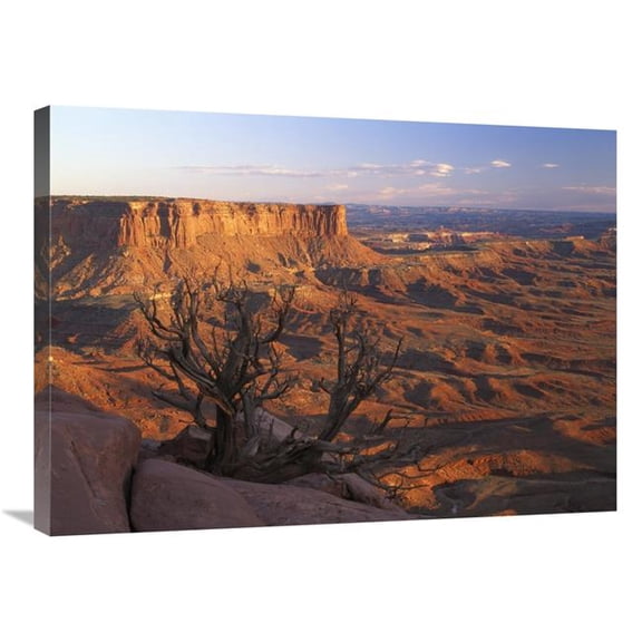 Global Gallery  24 x 32 in. View From Green River Overlook - Canyonlands National Park - Utah Art Print - Tim Fitzharris