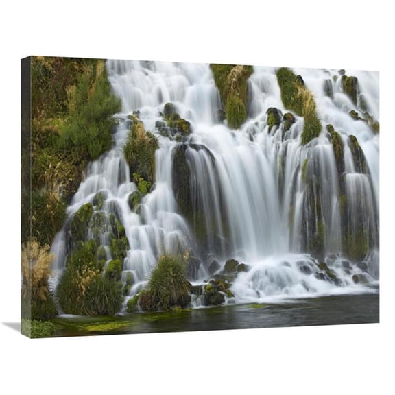 Global Gallery 24 x 32 in. Waterfall - Niagara Springs - Thousand Springs State Park - Idaho. Art Print - Tim Fitzharris