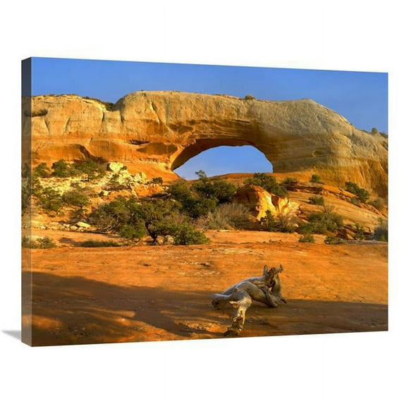 Global Gallery 24 x 32 in. Wilson Arch with A Span of 91 ft. & Height of 46 ft. - Made of Entrada Sandstone - Utah Art Print - Tim Fitzharris