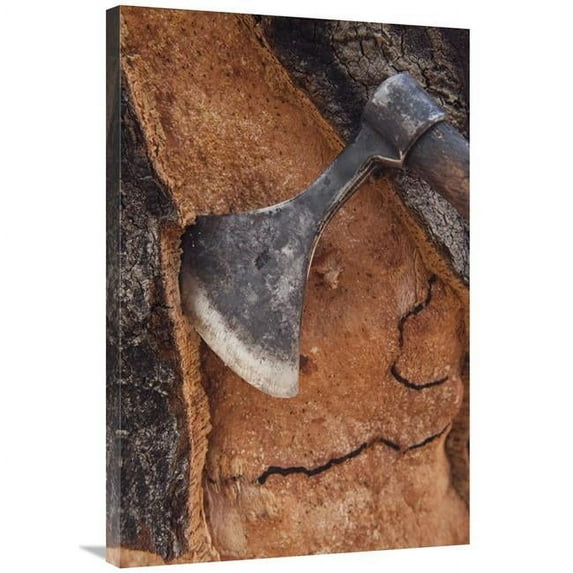 Global Gallery 24 x 36 in. Cork Oak Bark Being Harvested for Wine Corks & Other Products - San VIcente De Alcantara - Extremadura - Spain Art Print - Pete Oxford