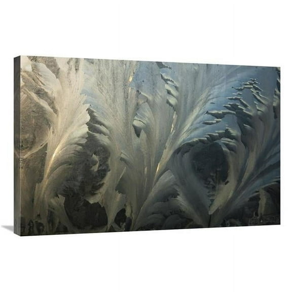 Global Gallery 24 x 36 in. Frost Crystal Patterns on Glass - Ross Sea - Antarctica Art Print - Colin Monteath