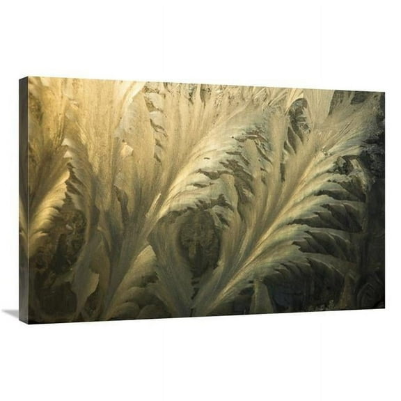 Global Gallery 24 x 36 in. Frost Crystal Patterns on Glass - Ross Sea - Antarctica Art Print - Colin Monteath