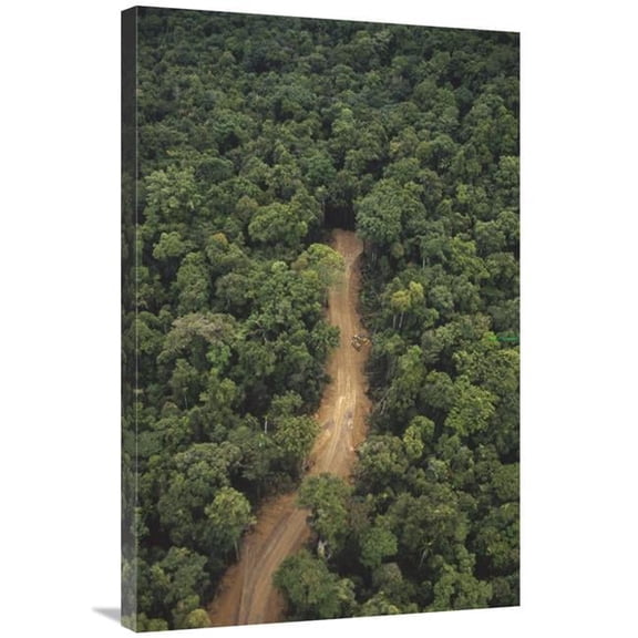 Global Gallery  24 x 36 in. New Logging Road in Virgin Lowland Tropical Rainforest - East of Aird River Delta - Kikori Basin - Papua New Guinea Art Print - Gerry Ellis