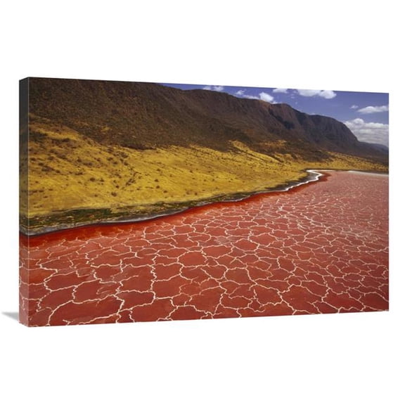 Global Gallery 24 x 36 in. Soda Formations on the Surface of Lake Natron - Tanzania - East Africa Art Print - Gerry Ellis