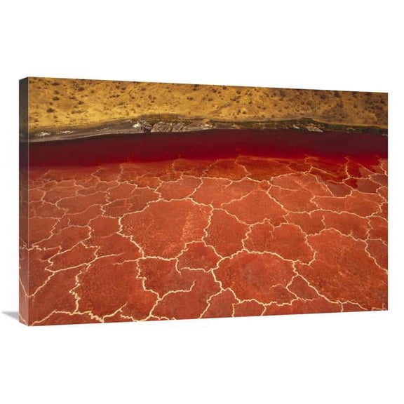 Global Gallery 24 x 36 in. Soda Formations on the Surface of Lake Natron - Tanzania - East Africa Art Print - Gerry Ellis