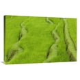 thumbnail image 1 of Global Gallery  24 x 36 in. Terraced Rice Paddy - Ubud Area - Bali - Indonesia Art Print - Cyril Ruoso, 1 of 1