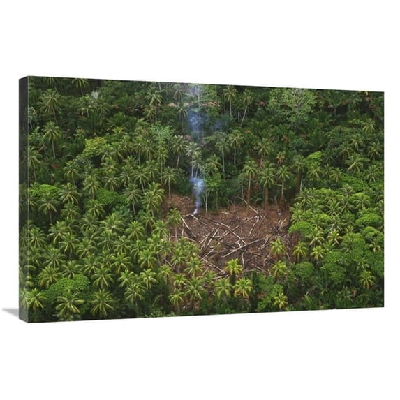 Global Gallery 24 x 36 in. Traditional Slash & Burn Clearcut in Virgin Lowland Tropical Rainforest East of Aird River Delta - Kikori Basin - Papua New Guinea Art Print - Gerry Ellis