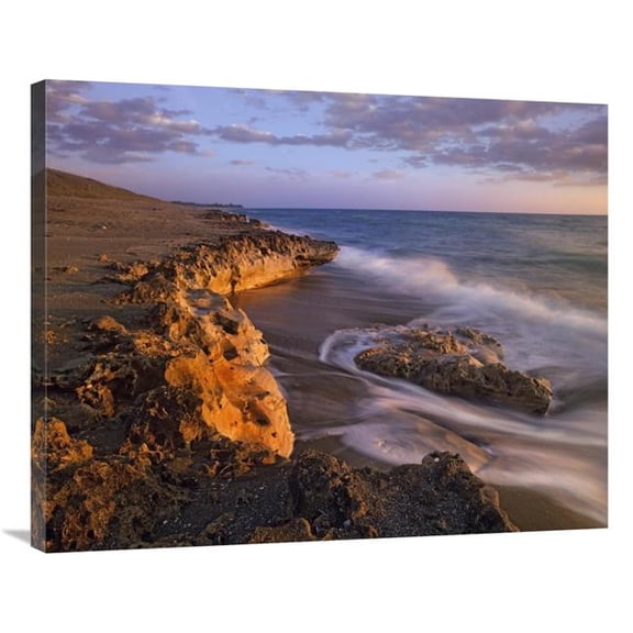 Global Gallery  28 x 35 in. Beach at Dusk - Blowing Rocks Preserve - Florida Art Print - Tim Fitzharris