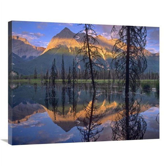 Global Gallery 28 x 35 in. Chancellor Peak Reflected in Lake - Yoho National Park - BC - Canada Art Print - Tim Fitzharris