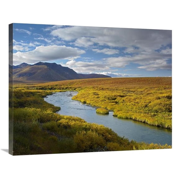 Global Gallery 28 x 35 in. North Klondike River Flowing Through Tundra Beneath the Ogilvie Mountains - Yukon Territory - Canada Art Print - Tim Fitzharris
