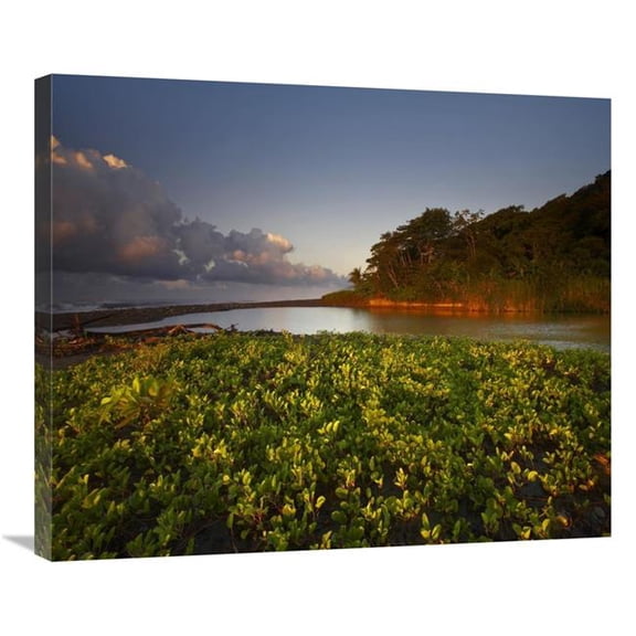Global Gallery 30 in. Lagoon Near Coastline - Corcovado National Park - Costa Rica Art Print - Tim Fitzharris