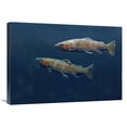 thumbnail image 1 of Global Gallery  30 in. Rainbow Trout Pair Swimming Underwater Art Print - Tim Fitzharris, 1 of 1