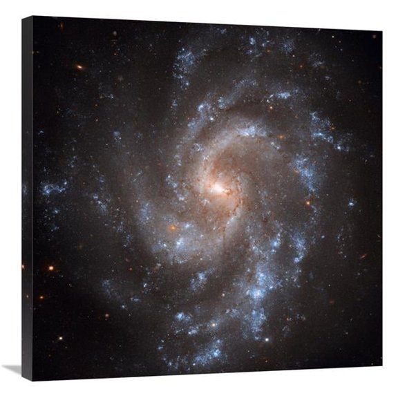Global Gallery 30 x 30 in. NGC 5584 Art Print - NASA