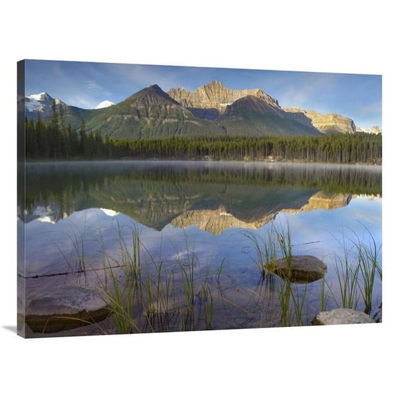 Global Gallery 30 x 40 in. Bow Range & Boreal Forest Reflected in Herbert Lake - Banff National Park - Alberta - Canada Art Print - Tim Fitzharris