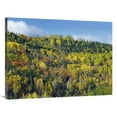 thumbnail image 1 of Global Gallery  30 x 40 in. Fall Colors - Chic-Chocs - Quebec - Canada Art Print - Tim Fitzharris, 1 of 1